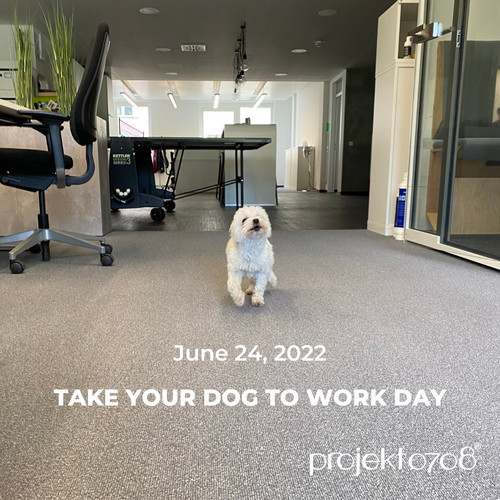 Today is the official "Take your dog to work day"! 🐕🏢 But actually, at projekt0708, every day is Take your dog to work...