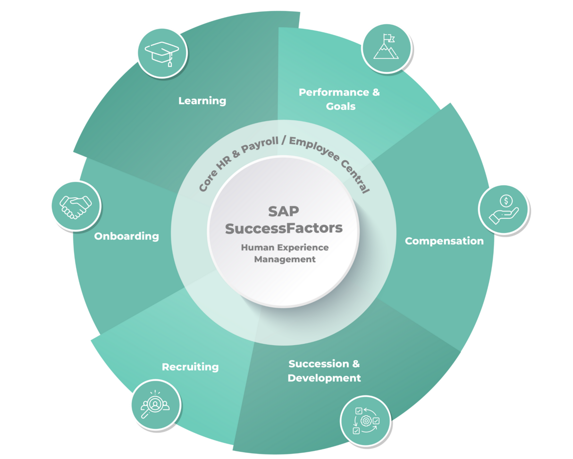 SAP SuccessFactors Überblick Grafik der Module
